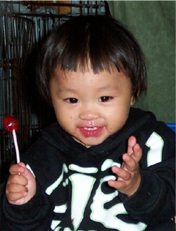 Mao Mei Zhu